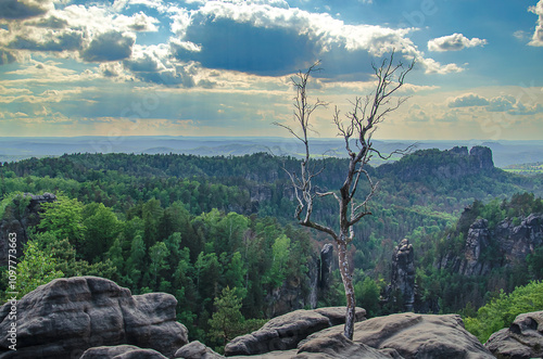 landscape with sky and clouds photo