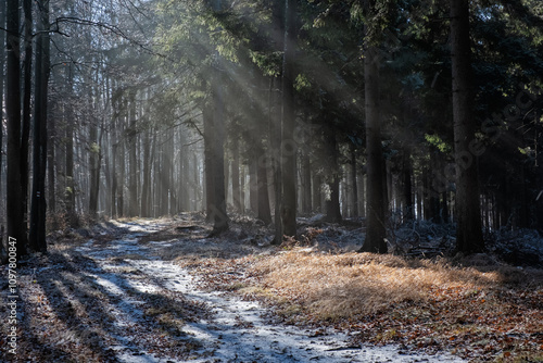 Seasonal natural scene, Kremnica Mountains, Slovakia photo