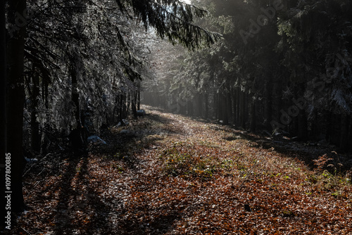 Seasonal natural scene, Kremnica Mountains, Slovakia photo