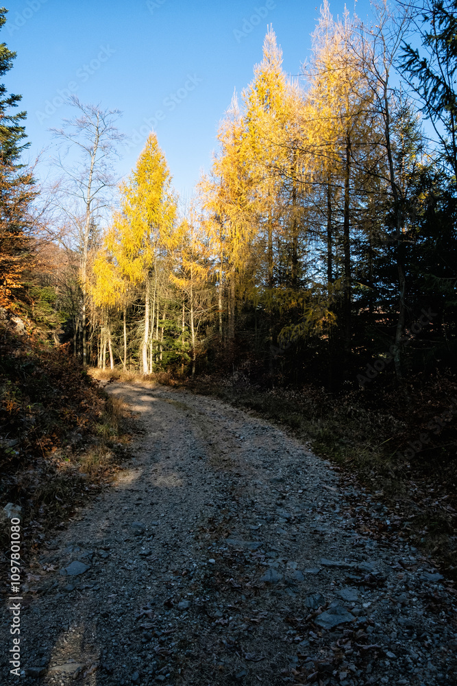 Fototapeta premium Seasonal natural scene, Kremnica Mountains, Slovakia