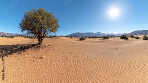 Sunlit Desert Landscape Dunes Tree and Mountains