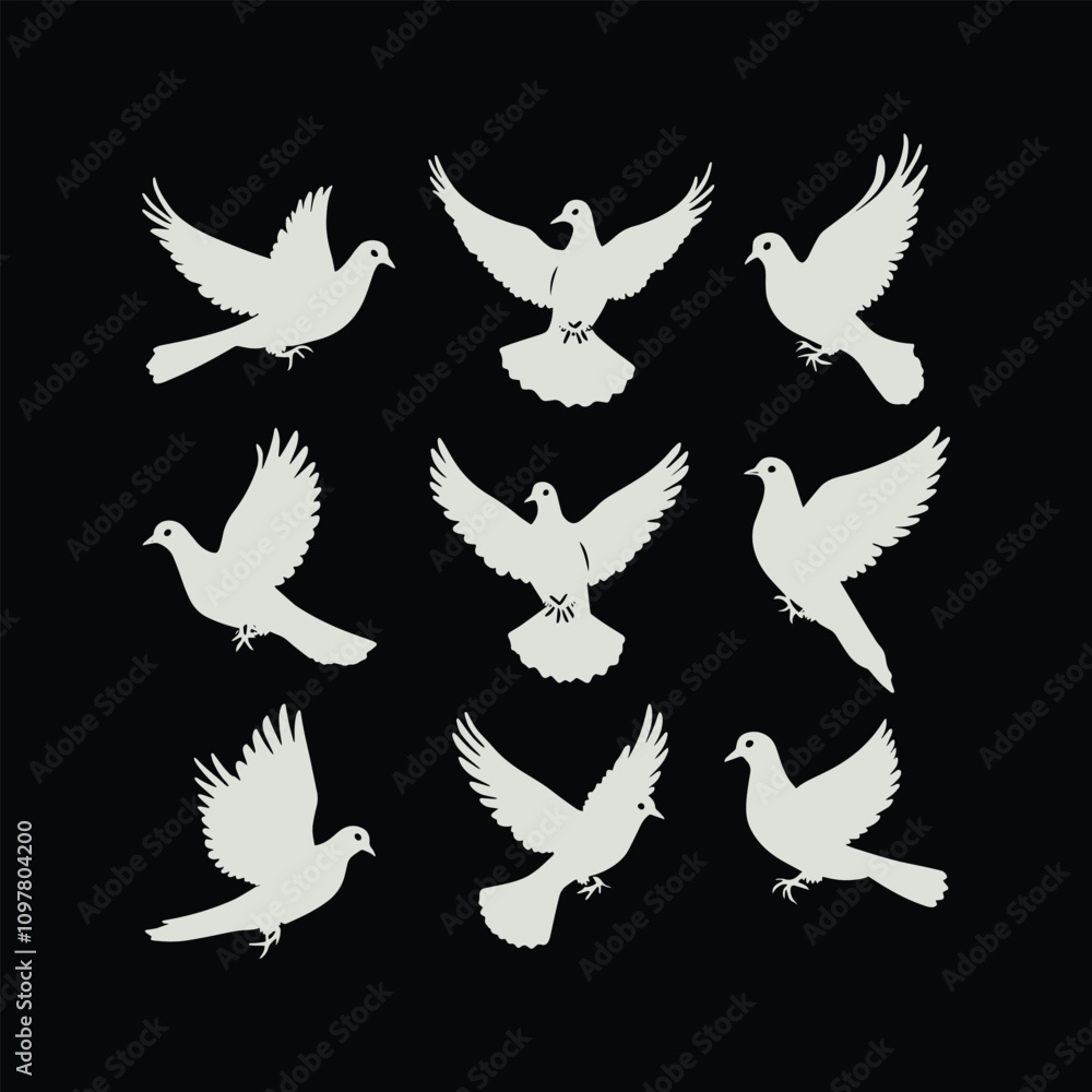Obraz premium black and white wings silhouette