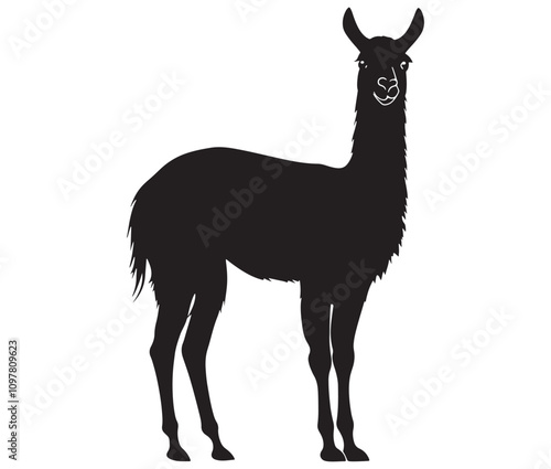 llama cartoon illustration vector design, Minimalist llama silhouette icon