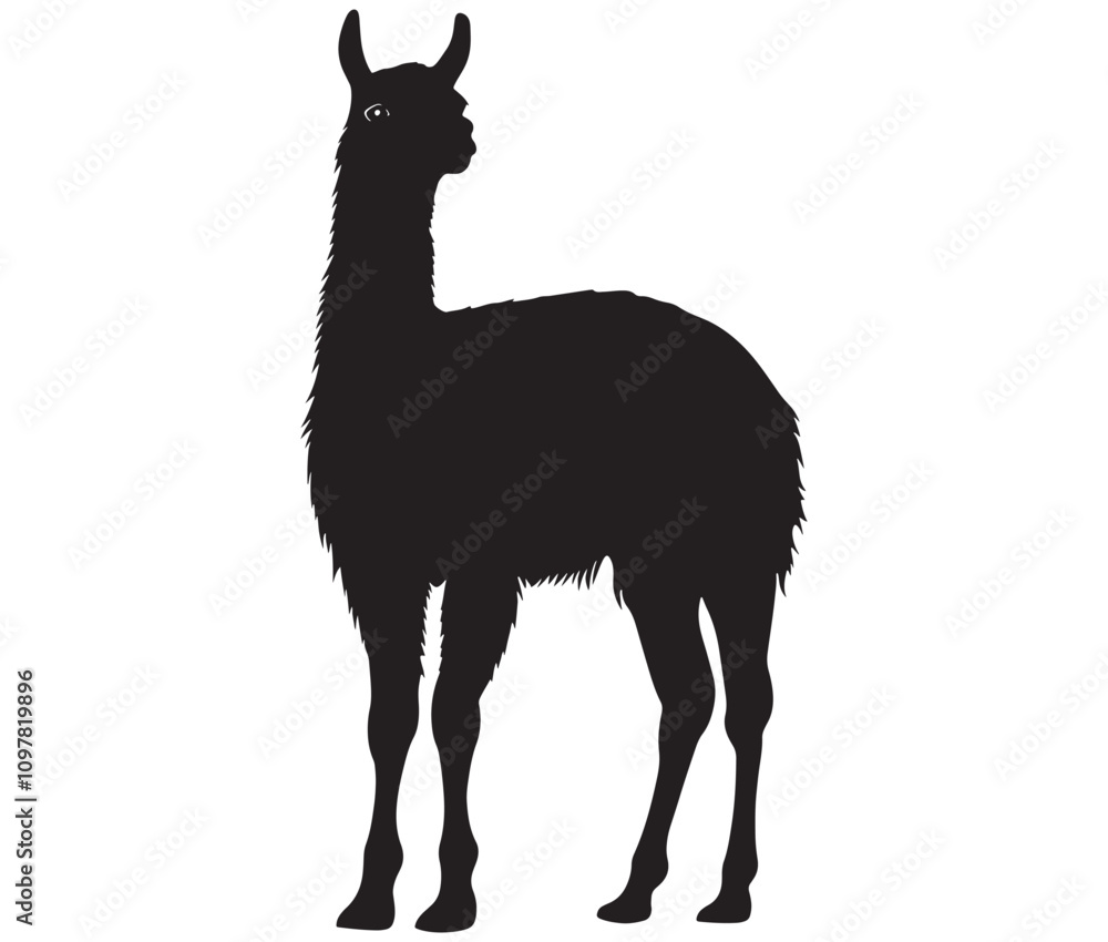 Fototapeta premium llama cartoon illustration vector design, Minimalist llama silhouette icon
