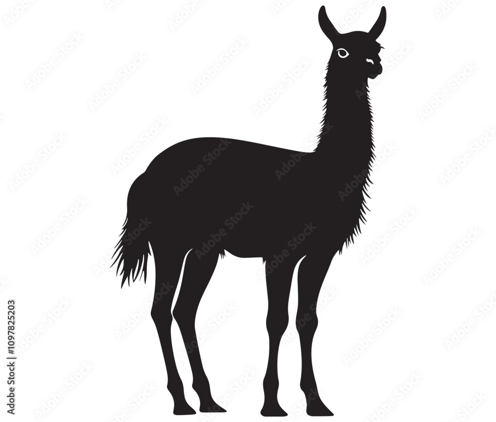Fototapeta premium llama cartoon illustration vector design, Minimalist llama silhouette icon