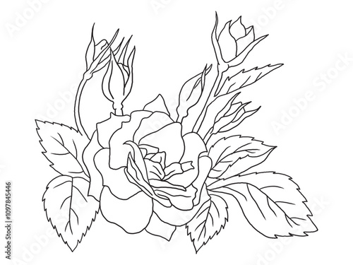 Beautiful black-and-white rose illustration with fine details, ideal for coloring books. Great for art enthusiasts, floral lovers, and creative projects.