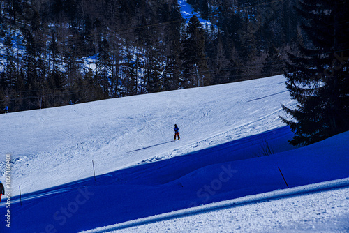 2022-02-06. Montenegro. A boy skier going down the slope  from a mountain against the background of trees.