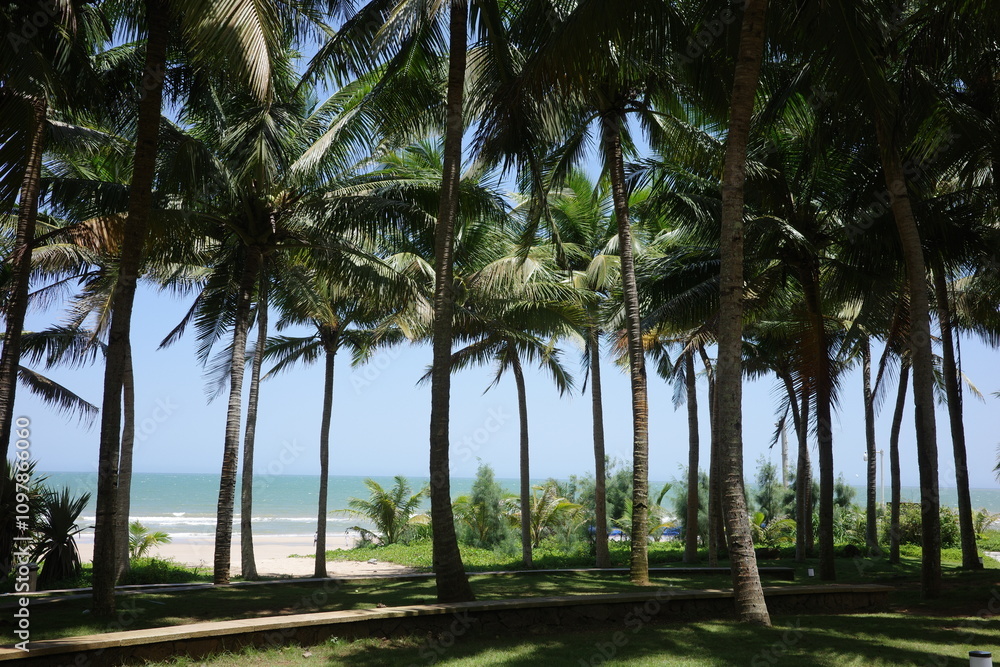 Obraz premium palm trees on the beach