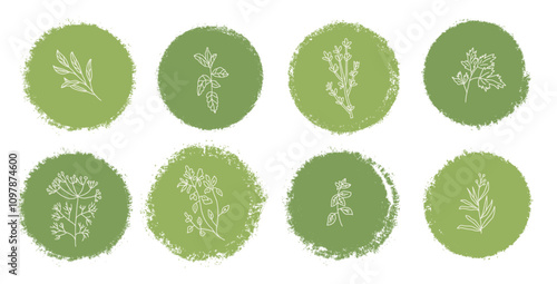 Culinary herbs labels set. Parsley, basil thyme, mint and oregano badge pack. Vector hand drawn doodle collection illustration isolated on white background.