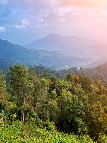 A breathtaking view of a lush green forest, vibrant and full of life, with majestic mountains standing tall in the background under a clear, serene sky.