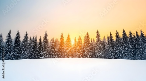 Fototapeta Naklejka Na Ścianę i Meble -  Serene winter sunset over a snow-covered forest