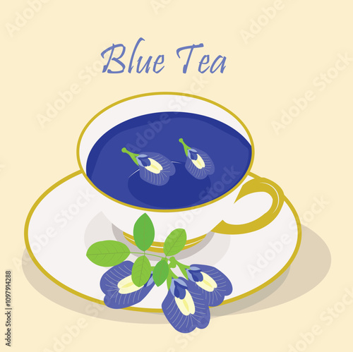 Vector illustration of butterfly pea flower tea or blue tea