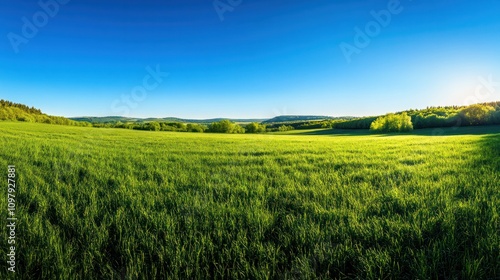 a peaceful meadow filled with lush green grass, under a clear blue sky that stretches endlessly.