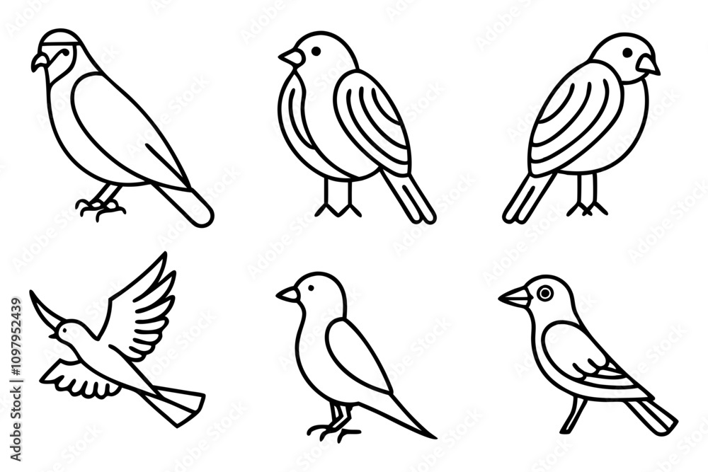 Naklejka premium Set of bird icon vector illustration 
