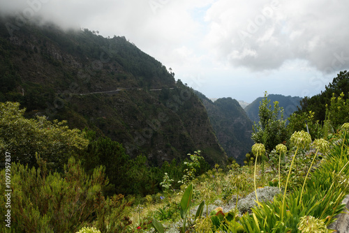 Obraz na płótnie path to the the Eira do Serrado viewpoint, located at an altitude of 1095 metres (Madeira, Portugal) w salonie