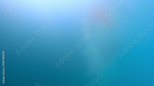 Boy in an orange swimsuit diving into a pool creating whirlpools and bubbles as he enters the pool during his favorite summer activity