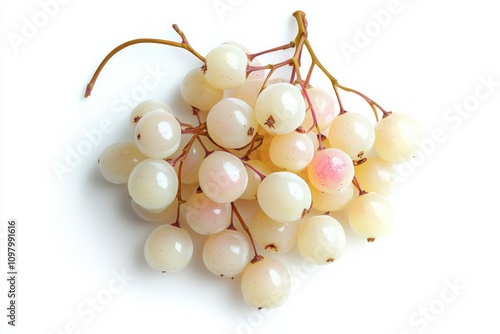 Translucent White Aspen Berries with Pink Blush Accent photo