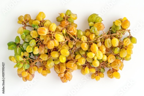 Desert Raisin Fruits in Clusters, Yellow and Dried photo