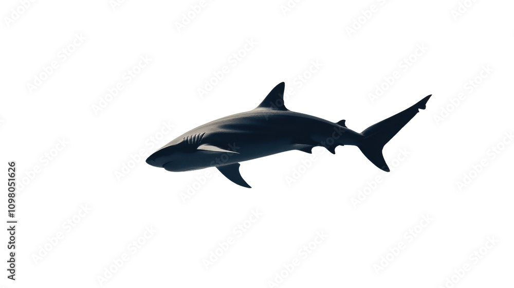 Fototapeta premium Shark silhouette. Predator shark, ocean shape, wild animal, shark design, nature silhouette, underwater predator, animal icon, sea shark, attack shape, marine.