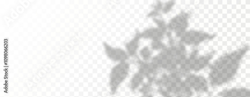 Glare from the sun's rays on the wall. Blurred shadows from leaves and plants in the room. Soft overlay of natural light. Abstract background for product presentation.Natural light layout.