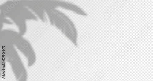 Glare from the sun's rays on the wall. Blurred shadows from leaves and plants in the room. Soft overlay of natural light. Abstract background for product presentation.Natural light layout.