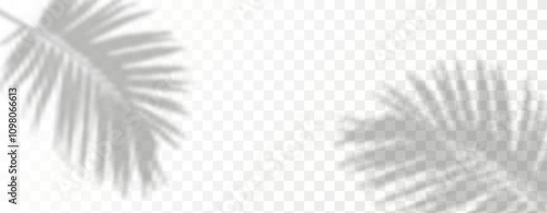 Glare from the sun's rays on the wall. Blurred shadows from leaves and plants in the room. Soft overlay of natural light. Abstract background for product presentation.Natural light layout.