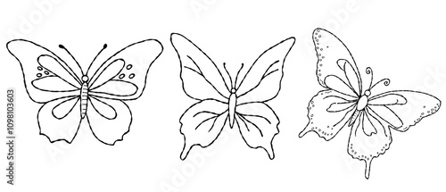 butterfly set outline