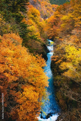 Vibrant autumn forest with blue river