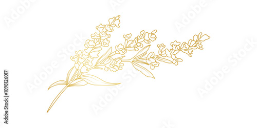 Golden Lavender flowers line art isolated on white background. Luxury Lavender floral design elements for invitation, wedding, wallpaper, print template, vector illustration
