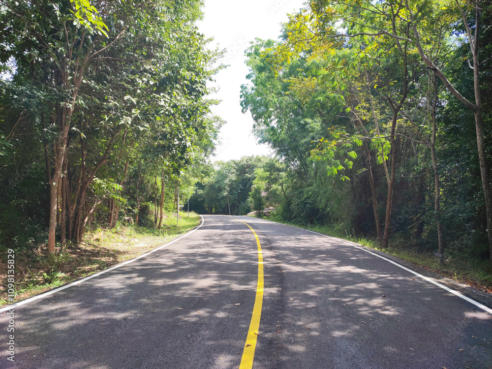 Obraz premium The beautiful yellow line on road with nature.