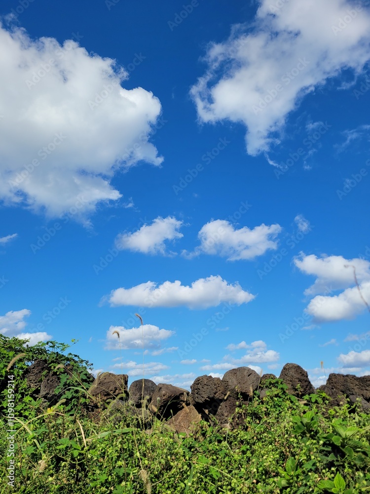 Fototapeta premium Autumn scenery of Jeju Island, Korea