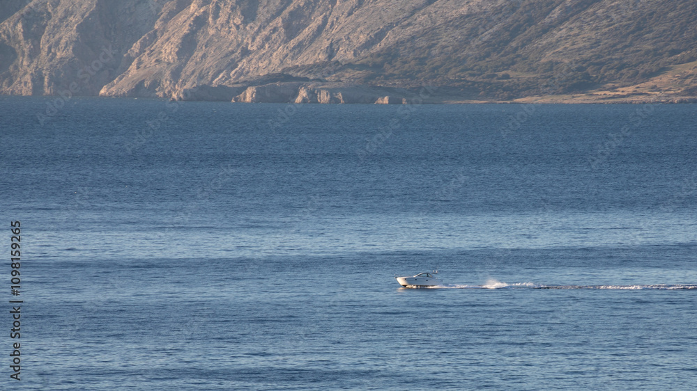 Obraz premium A solitary speedboat glides across the calm blue sea with rocky coastal cliffs in the background, embodying adventure and serenity