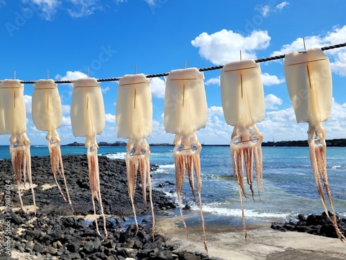 Squid, semi-dried squid, grilled squid