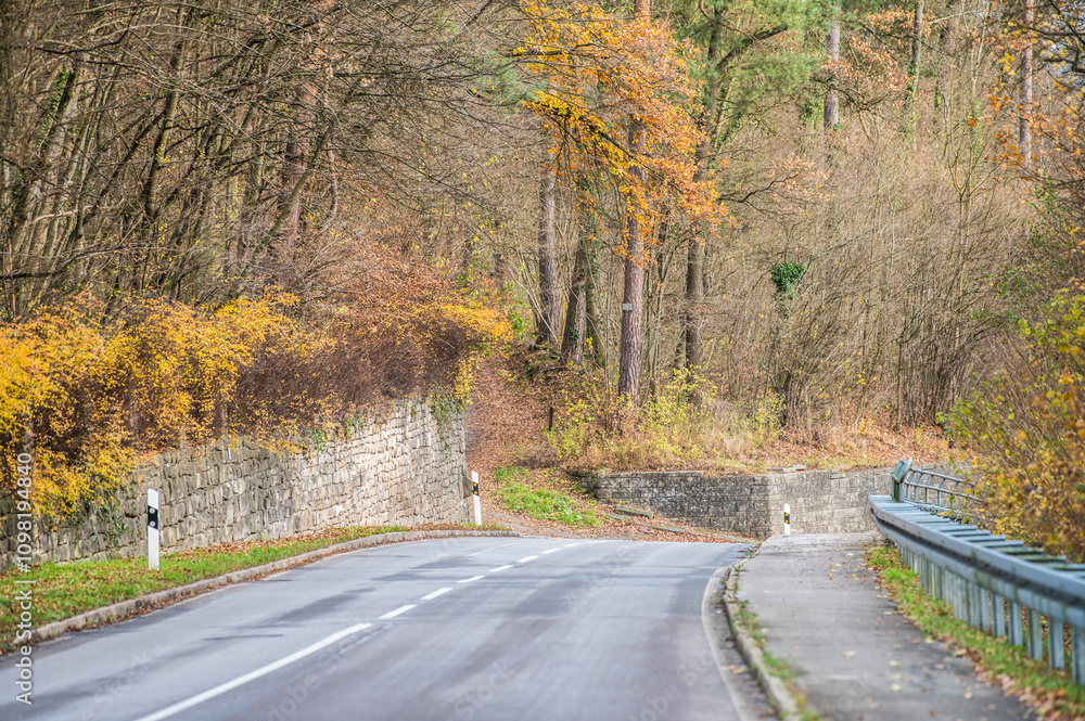 Obraz premium Ländliche Straße mit Leitplanken und Leitpfosten vor Herbstwald mit historischen Mauern