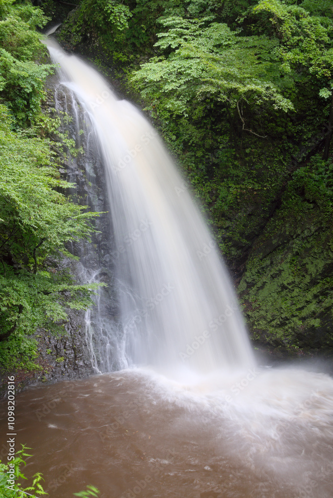 Fototapeta premium 群馬にある世立八滝、大仙の滝