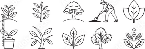 Plant Growth Stages Line Art icon