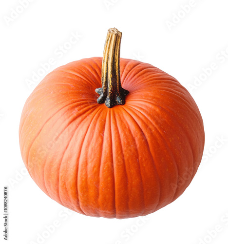 Vibrant Pumpkin Displayed on White Background Celebrating the Bounty of Autumn in the Vegetable and Fruit Category