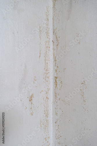 Wallpaper Mural 오래된 벽지 위에 자란 곰팡이

 Torontodigital.ca