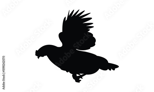 Flying Hen Silhouette Design  And Vector Illustration. 