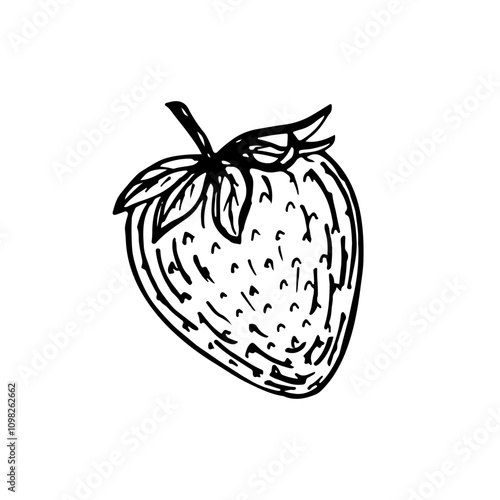 Strawberry sketch outline illustration. Simple doodle drawing in engraving style. Hand drawn vector line art clipart isolated on a white background