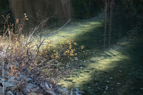 Sun streaks across the Animas River, San Juan National Forest, Colorado photo