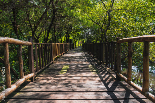 Mangrove Forest with walking path for visitors made from wood. View of Mangrove Forest in Wonorejo Mangrove Forest, Surabaya, East Java, Indonesia.
 photo