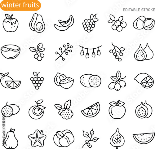 Winter Fruits Line Icons Collection, Editable Stroke, Vector Graphics