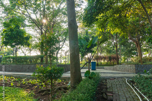 Beautiful morning light in public park with green grass park, green tree plant, and jogging track, at Kebun Bibit Wonorejo, East Java, Indonesia.
 photo