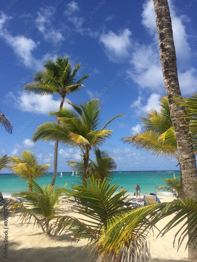 Obraz premium palm trees on the beach