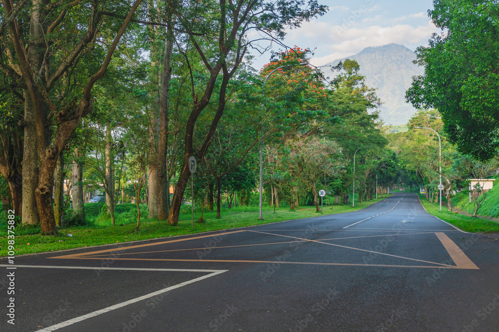Obraz premium The atmosphere of nature tourism Taman Dayu, pasuruan, East Java, Indonesia. The streets are still filled with big, soothing trees. 