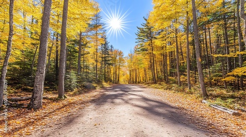 beautiful pictures
