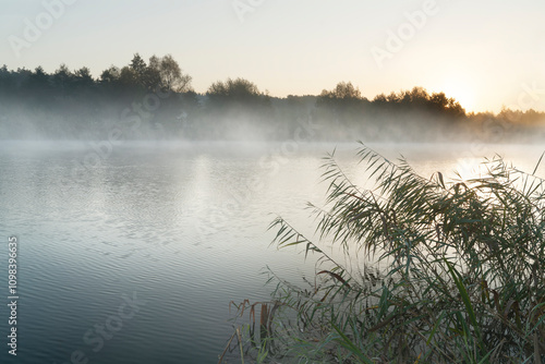 misty morning on the river