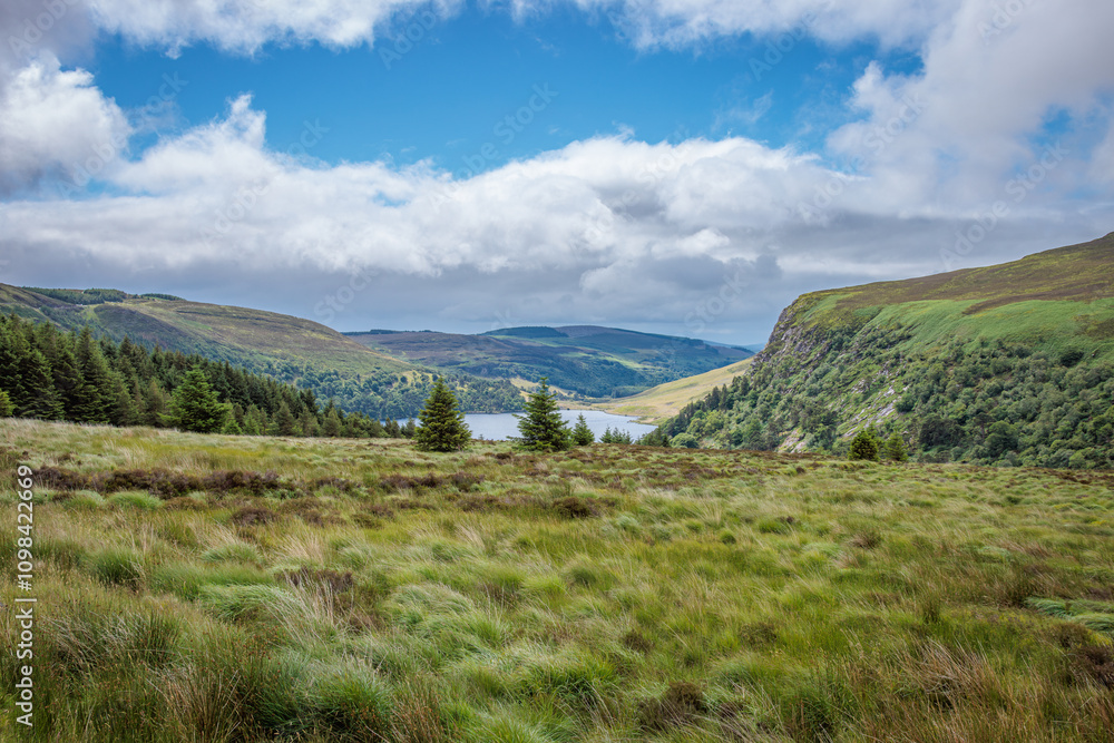 Obraz premium Wicklow, Ireland - June 30 2024 