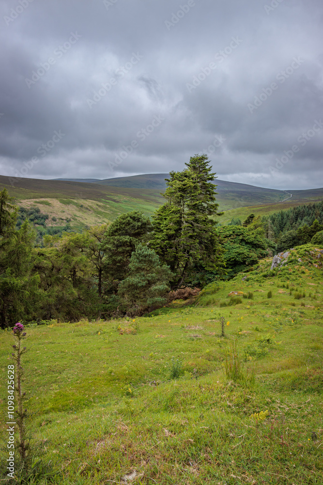 Naklejka premium Wicklow, Ireland - June 30 2024 